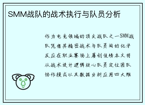 SMM战队的战术执行与队员分析